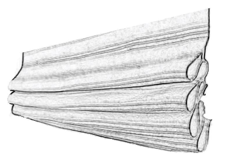 Тканевое полотно римских штор